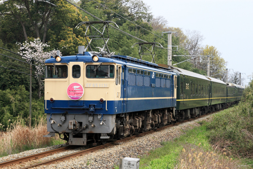 JR西＋JR四】再び四国に〈トワイライトエクスプレス〉 | 鉄道ホビダス