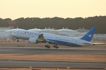 中国 厦門航空（MF/CXA）