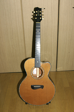 BLACK-DOG blog | 私のギター その4