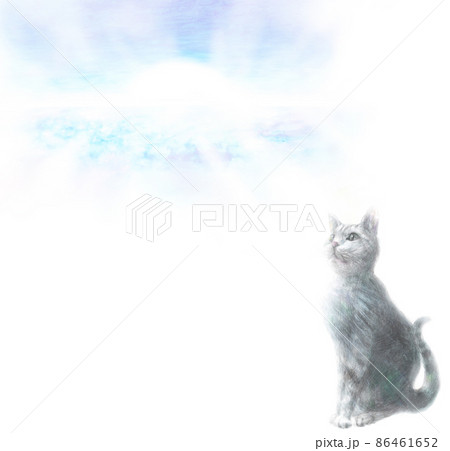 空を見上げる猫のイラスト素材 [86461652] - PIXTA