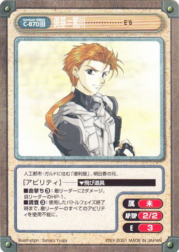 ガンガンヴァーサス(480枚)