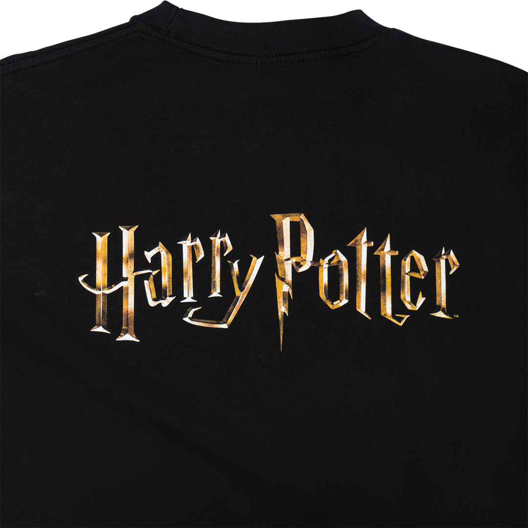 WELCOME SKATEBOARDS（ウェルカム スケートボード）| HARRY POTTER X