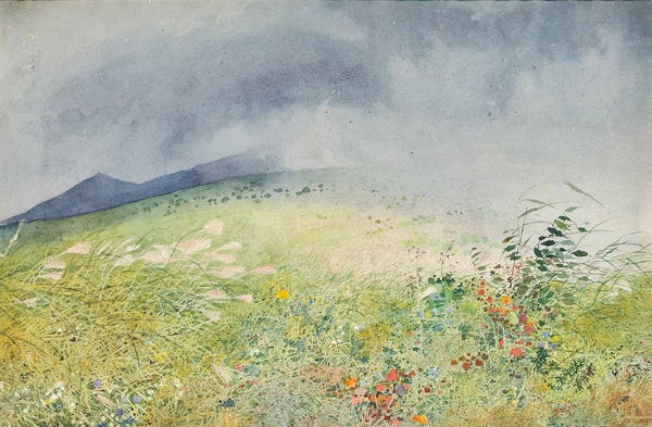 特別企画展】生誕150年・明治150年 水彩画家・丸山晩霞（ばんか）展