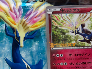 特別なイラストのカードも入った ポケモンカードゲーム スーパー