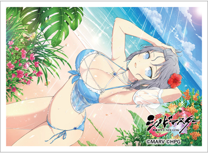 カーテン魂より『シノビマスター 閃乱カグラ NEW LINK』のスリーブが