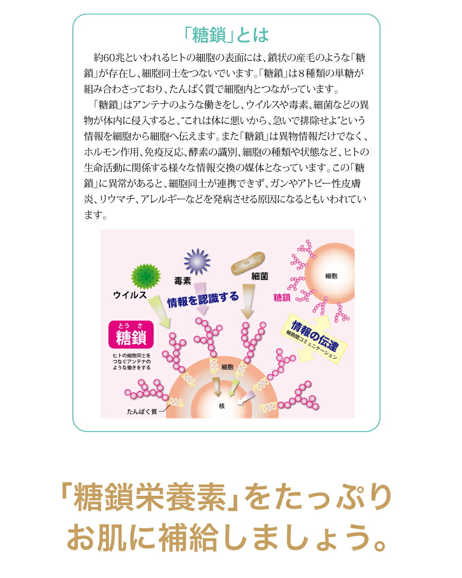 楽天市場】カタライザーミストスプレー 100ml 3本セット（ミスト化粧水