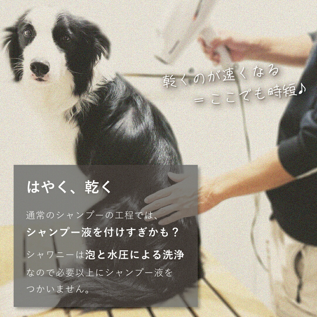 楽天市場】【セール！ 送料無料】自宅でワンちゃんのシャワーが簡単に