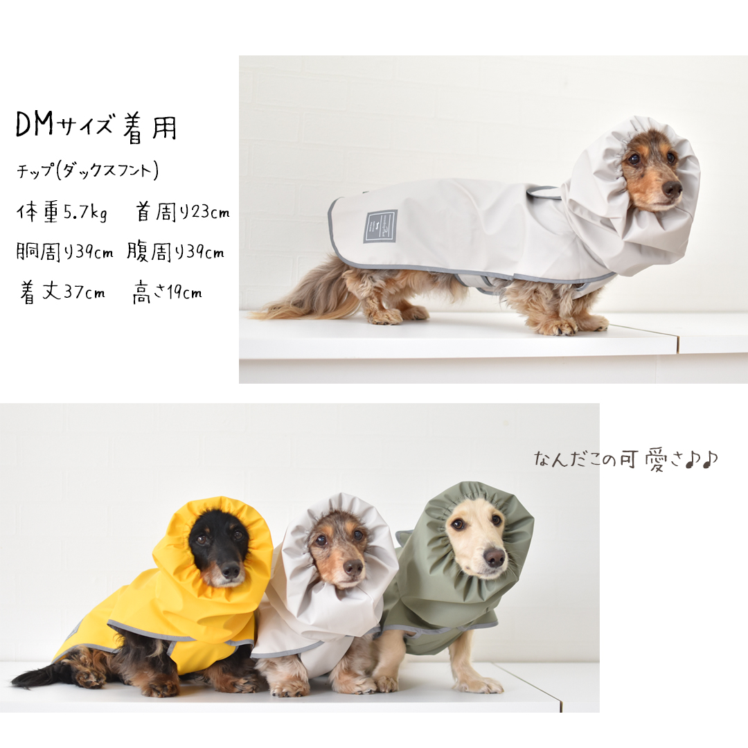 楽天市場】レインコート ダックスサイズ 犬用 雨具 カッパ 防水 泥はね