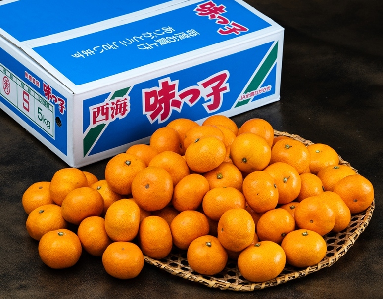 糖度13度以上「味っ子みかん」長崎県産 マル秀〜秀 S〜L 約5kg 産地箱