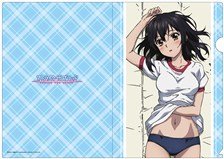 キラキラ☆プリキュアアラモード 等身大タペストリー キュアホイップ