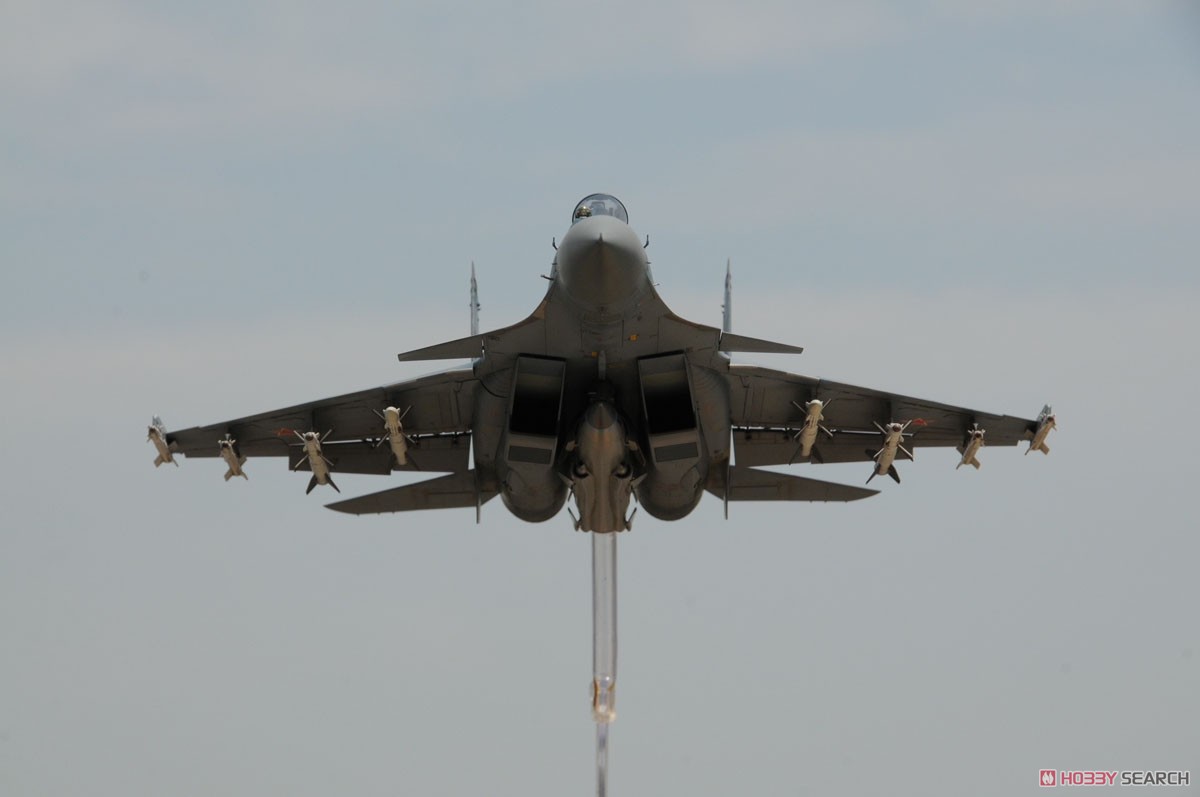 Su-27K SeaFlanker w/Kh-41 Moskit (Plastic model) - HobbySearch