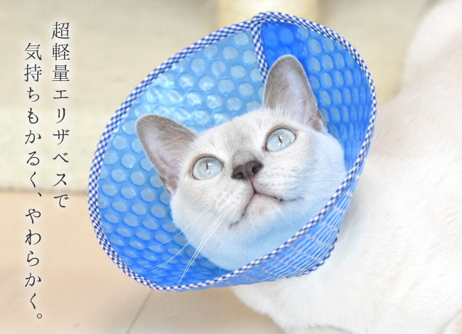 雑誌ananに掲載されました】猫用エリザベスカラー ソフトタイプ M