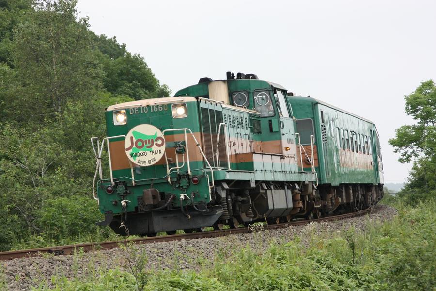 大自然を満喫！釧路湿原を走る！「くしろ湿原ノロッコ号」【北海道