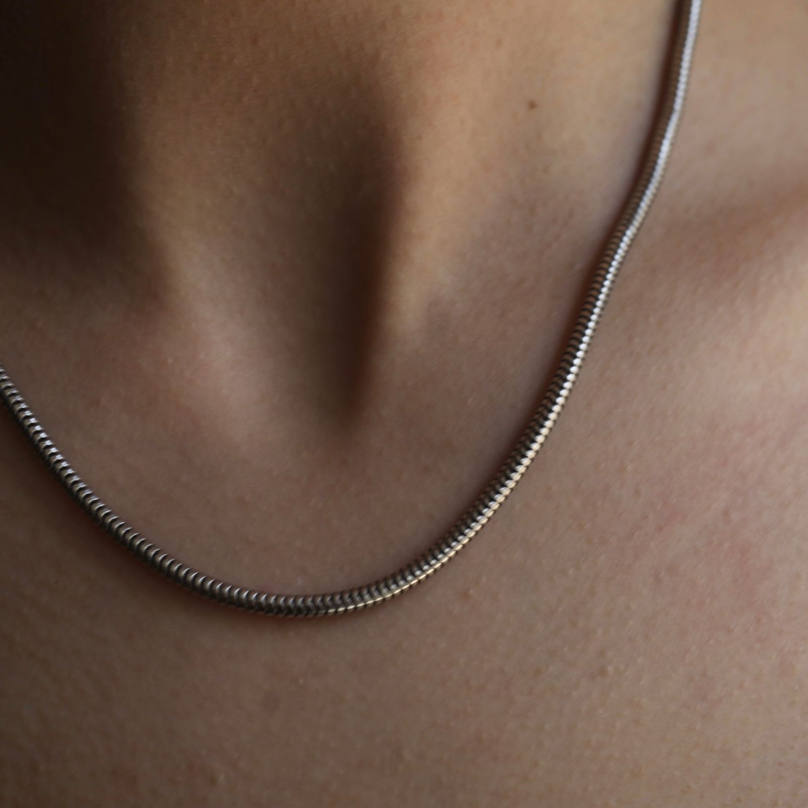 TOMWOOD - 【残りわずか】Snake Chain(SILVER) | ACRMTSM ONLINE STORE