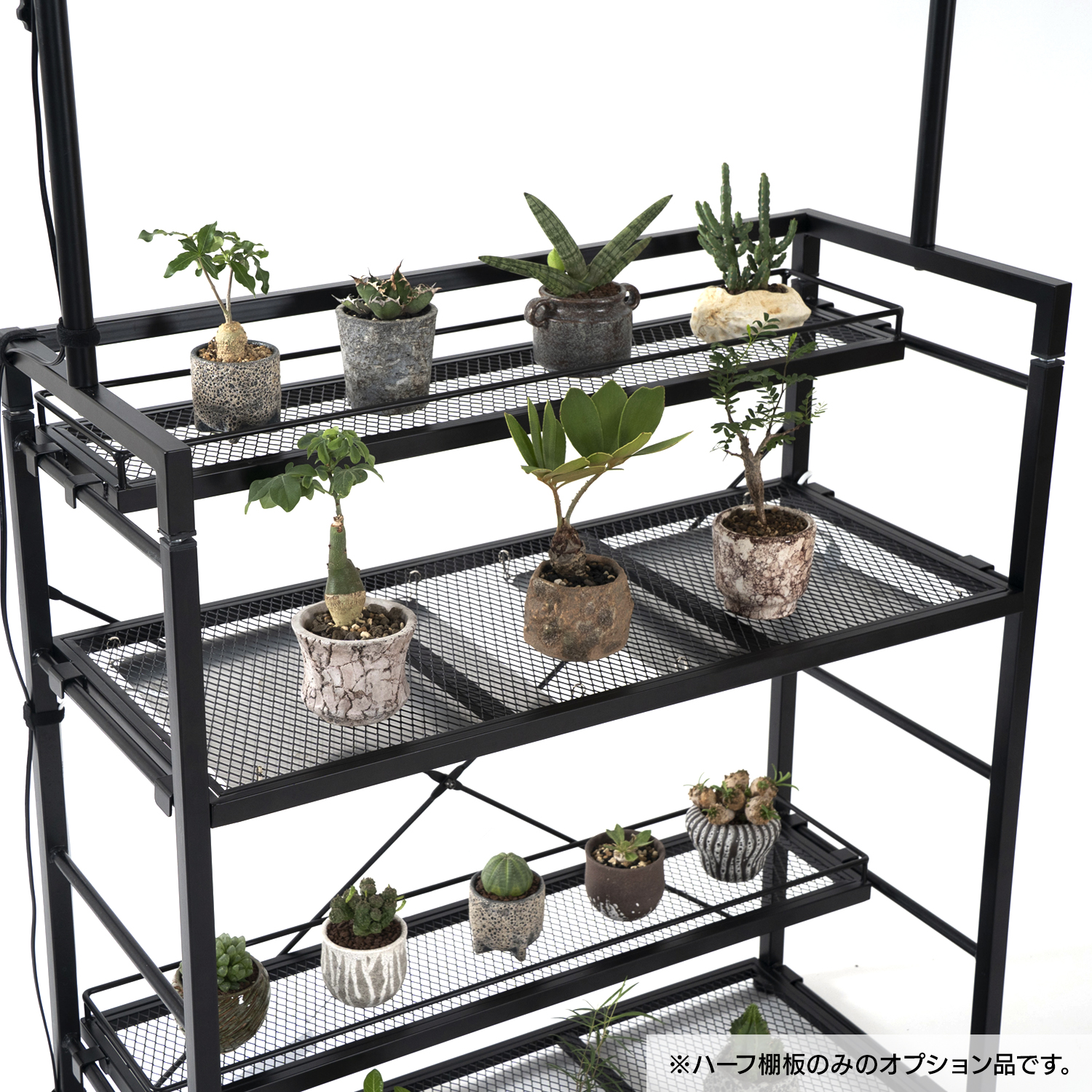 ハーフ棚板（オプションパーツ） LPP-T181 | BIBILAB®