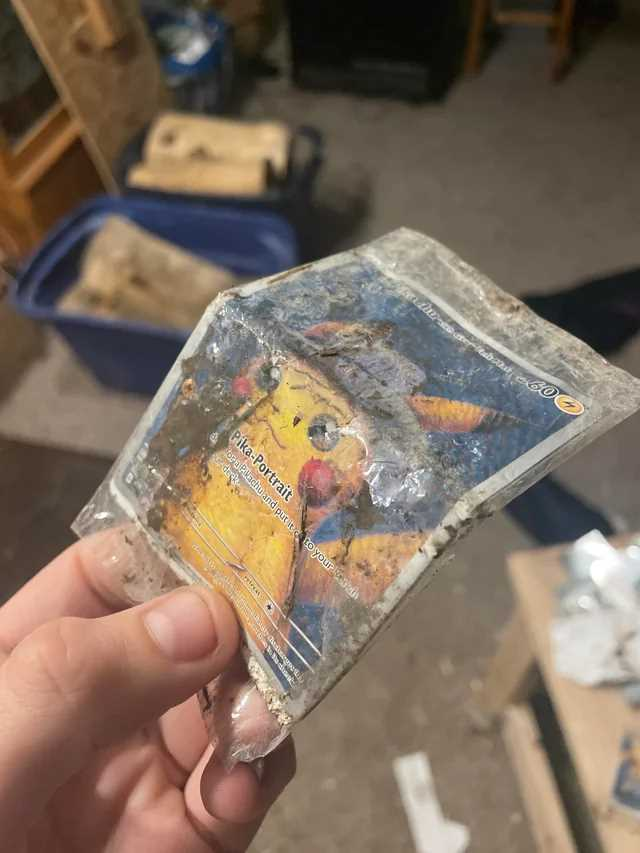 海外ファンの元に届いた「ゴッホピカチュウ」が飼ってたヤギや七面鳥に