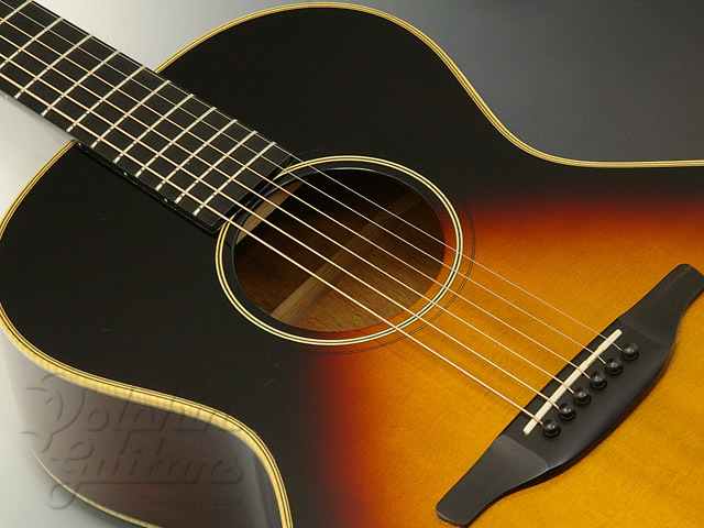 VG VG-00 BS|ドルフィンギターズ