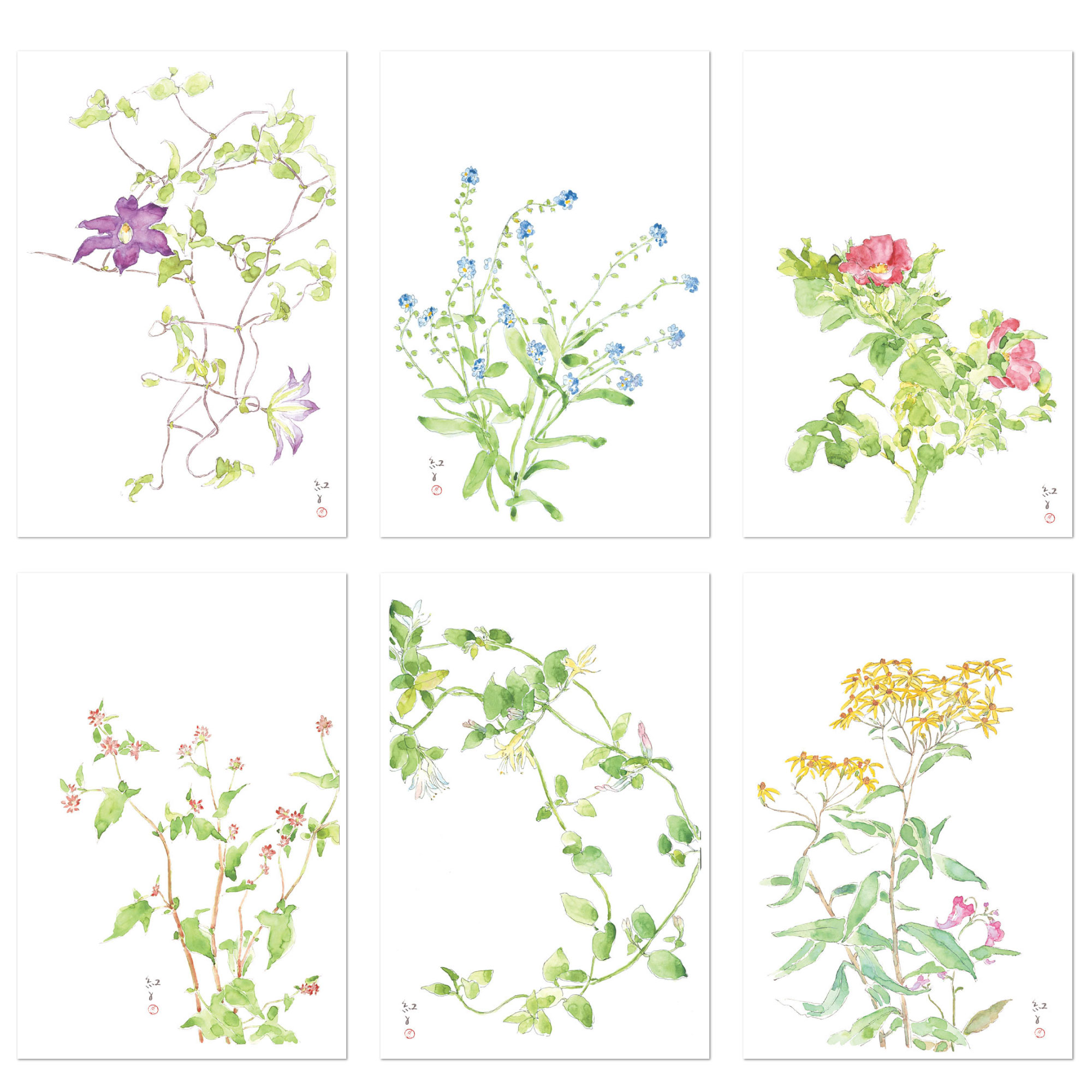 絵はがき 深沢紅子（ふかざわこうこ）6枚セット ｜ 婦人之友社 さあ