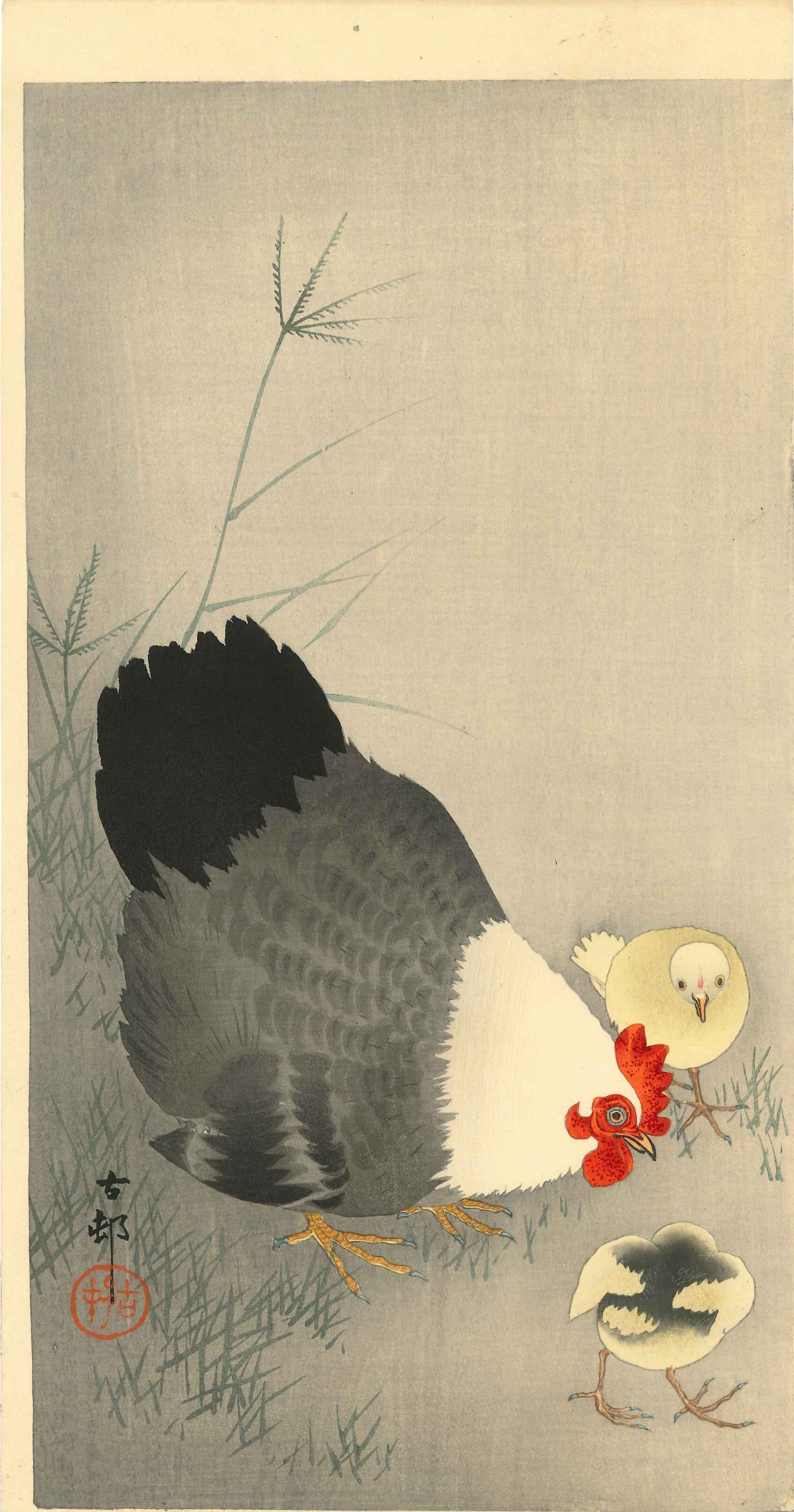 小原古邨 鶏とひよこ | 浮世絵 | 原書房 神田神保町