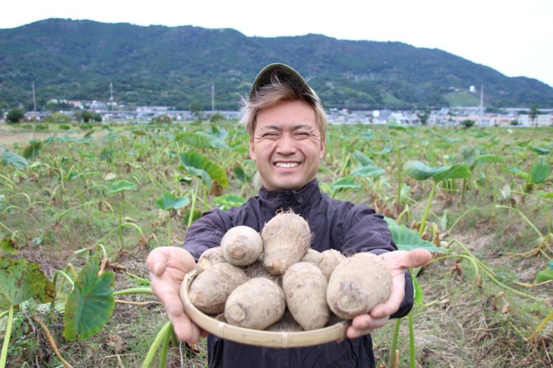 宮上さんの「開成弥一芋（さといも）」（LM混合 約2kg）: JA全農