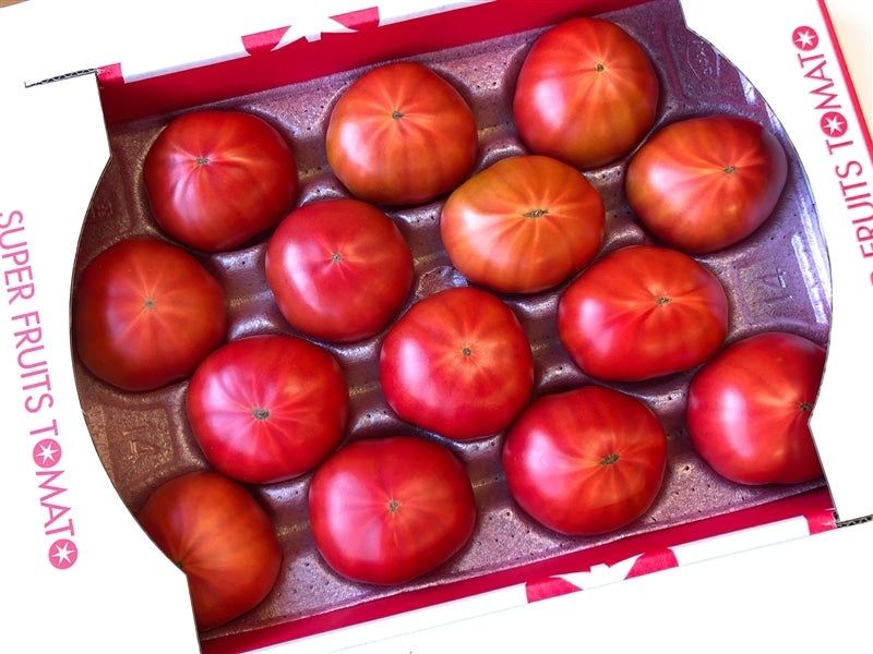 KEKのスーパーフルーツトマト (特大)【1日限定10箱】平均糖度9度以上