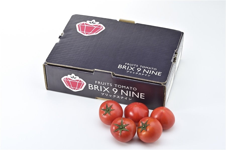 1箱 ぐんまの誇る「フルーツトマト”ブリックスナイン”」（JAにった