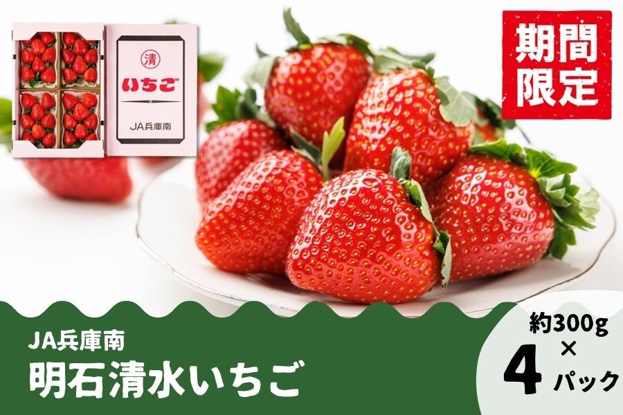 予約】JA兵庫南 明石清水いちご（4パック） 【2月下旬～3月上旬出荷