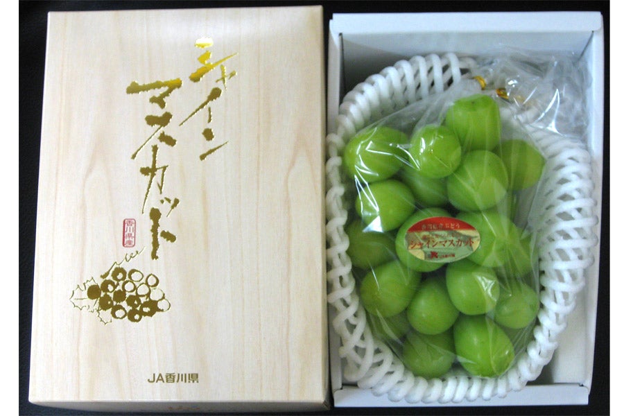 シャインマスカット1房（約600g）: さぬき旬彩館|【JAタウン】産地