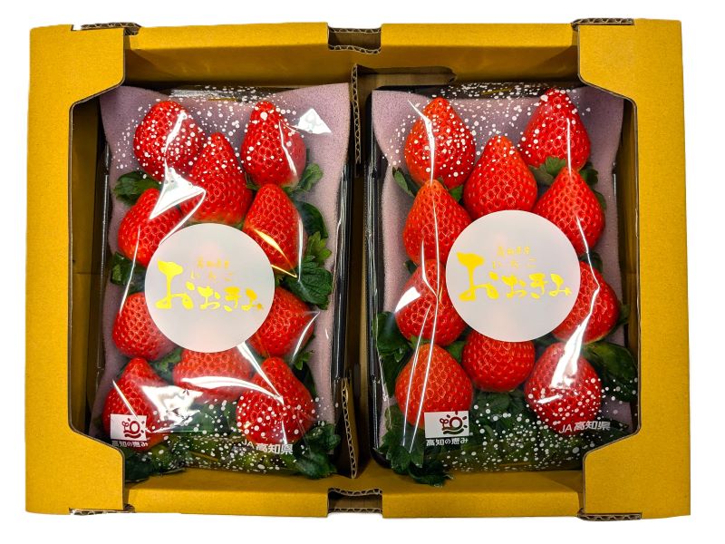 パック】大玉いちご おおきみ: とさのさとアグリコレット|【JAタウン