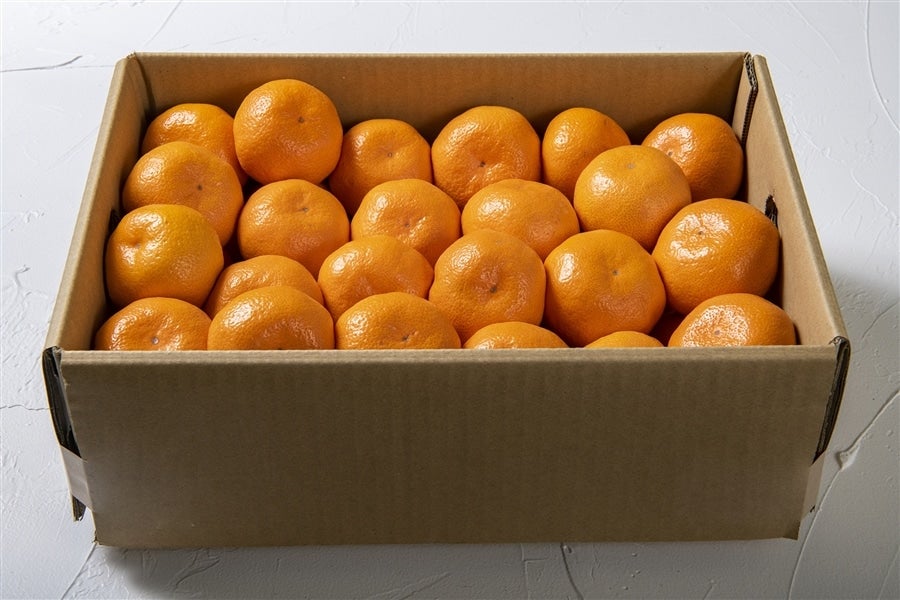 大分県産温州みかん 約5kg【配送日指定・のし対応不可】: まるっと完食