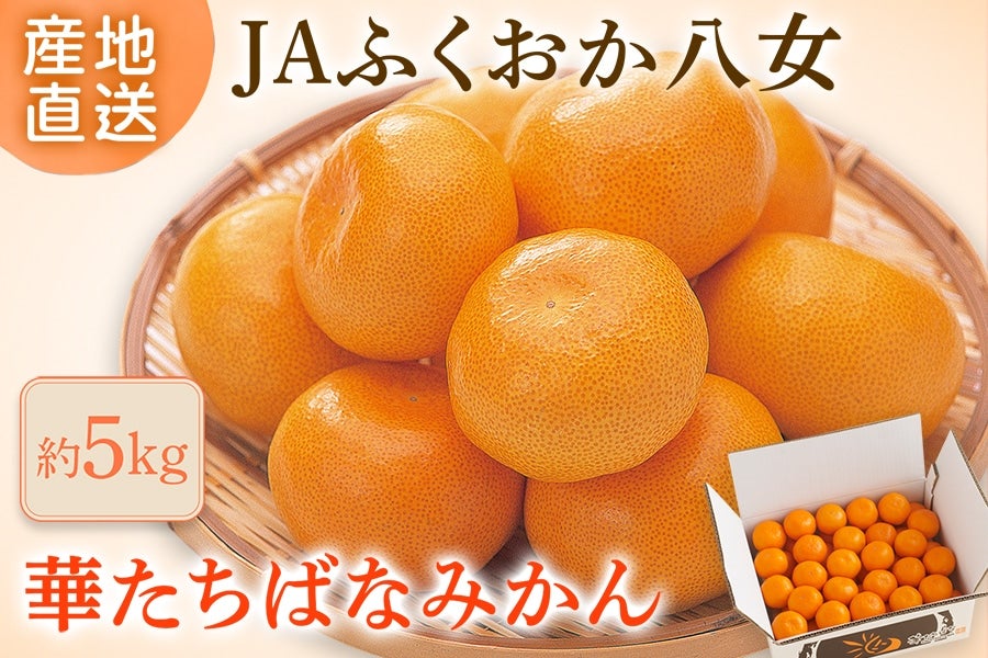 2026年10月予約販売開始予定】◎JAふくおか八女 『華たちばなみかん