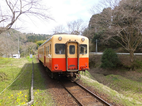 のんびり小湊鐵道 ひたすら乗って撮っての旅 - じゃらん旅行記