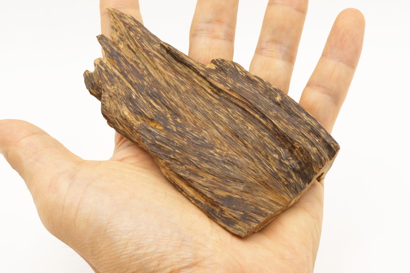 極品タニ沈香木 37.4g｜いつき