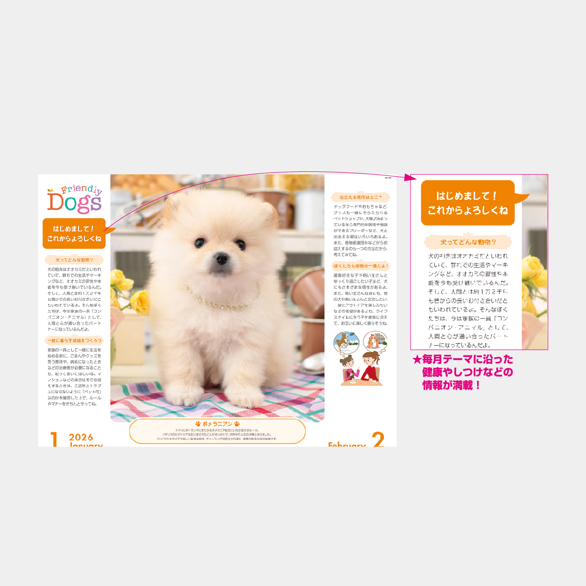 NK-24 フレンドリードッグス2026年版の名入れカレンダーを格安で販売