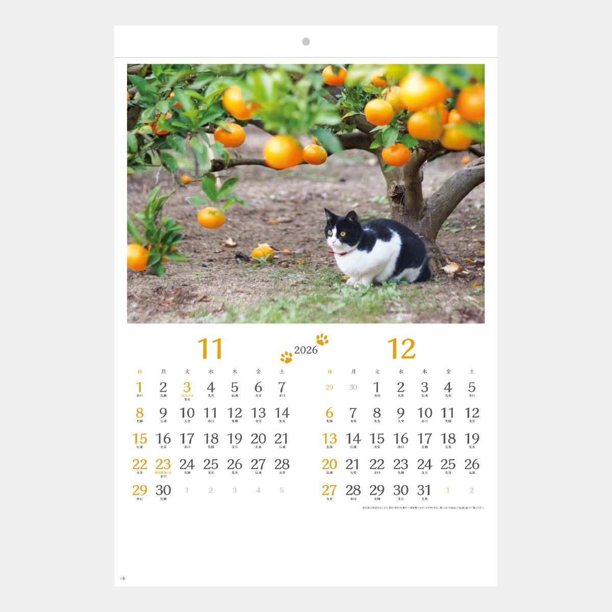 SB-120 猫さんぽ〔2ヶ月玉〕2026年版の名入れカレンダーを格安で販売