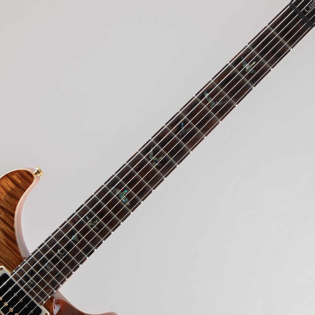 Wood Library Custom 24-08 10Top Autumn Sky 2020: エレキギター