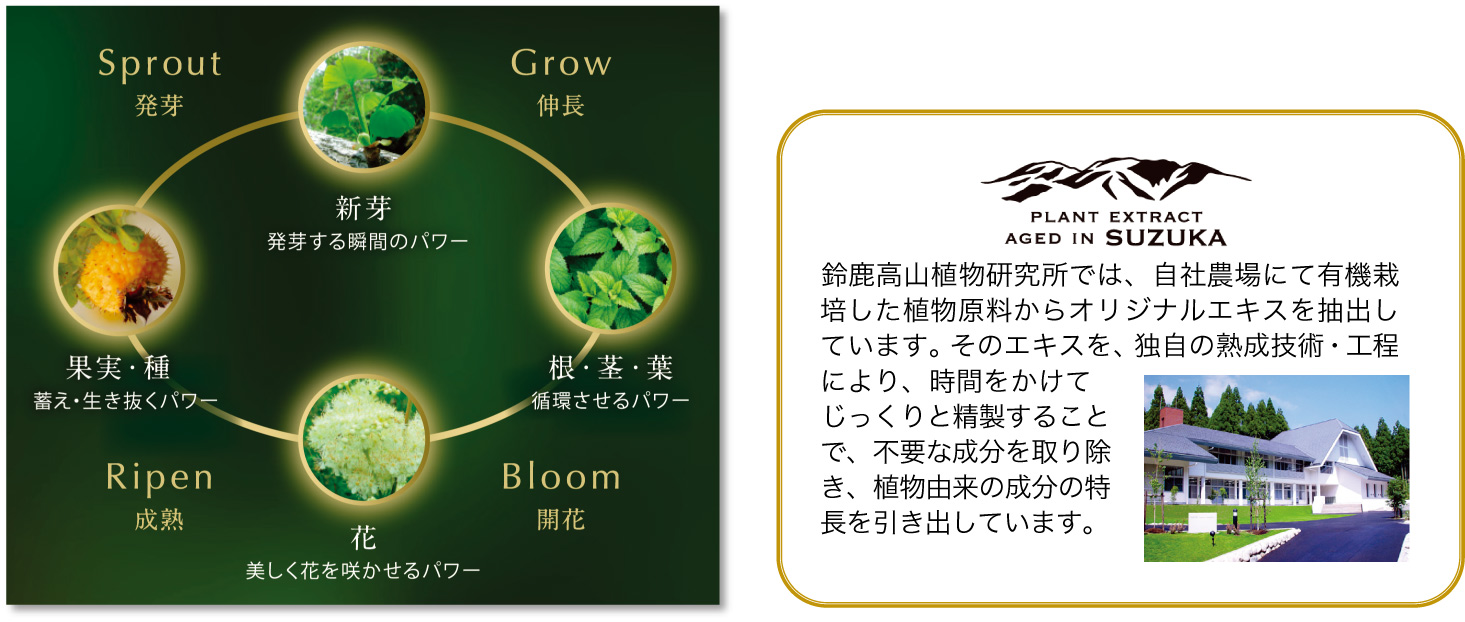 厳選された26種類の植物エキスと2つの有効成分配合。年齢肌に