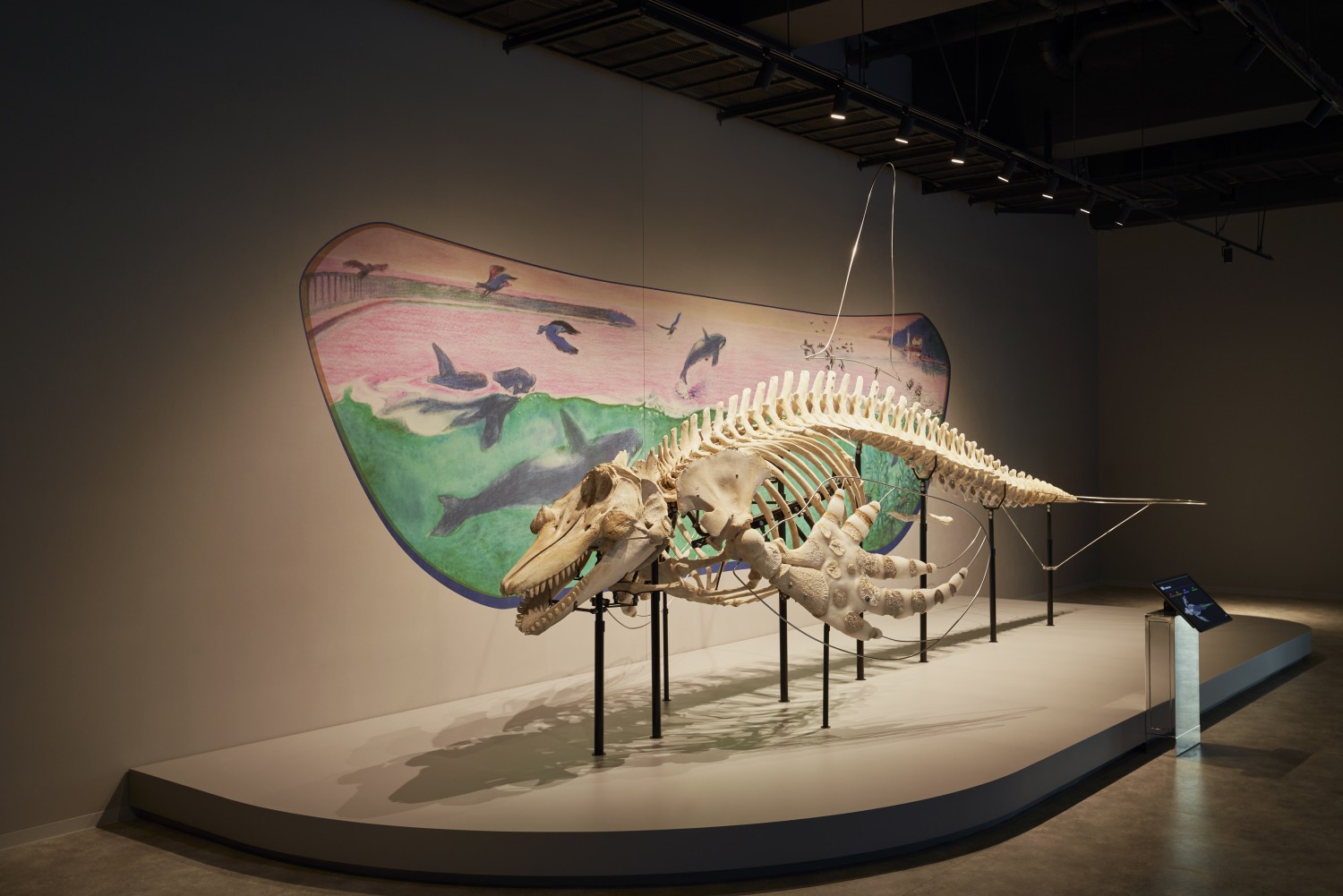 神戸須磨シーワールド「オルカラボ」、「オルカホール」 | 実績一覧