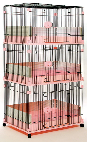 営業用犬舎 FW-DC 3F ピンク/ブルー/ホワイト/ブラウン （ ピンク