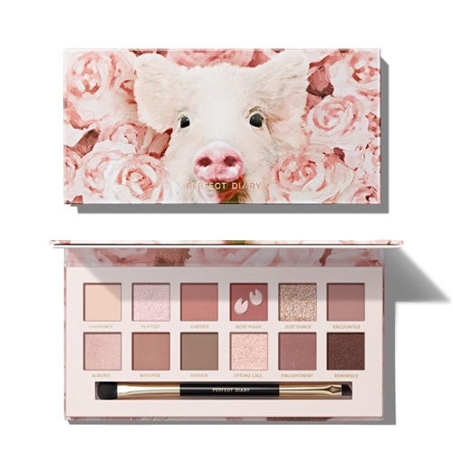 パーフェクトダイアリー エクスプローラ12色アイシャドウパレット 17
