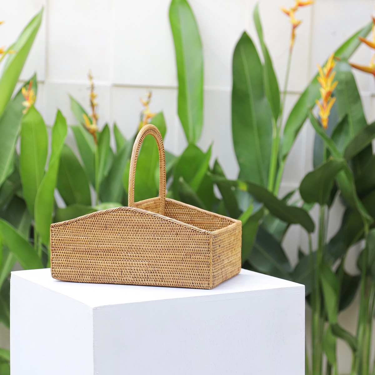 山型リモコン立て2枠持手 (RCB269) Rosily(ロージリー) バリ島 アタ