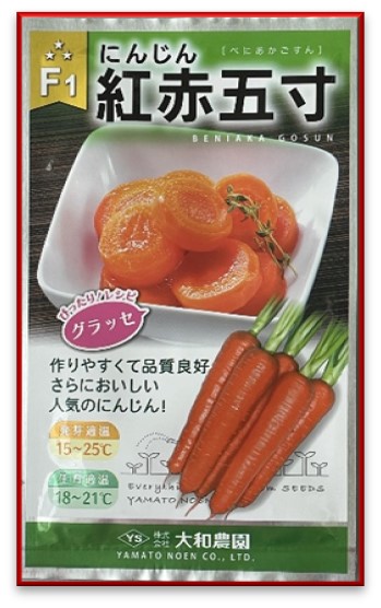 人参の夏蒔きシーズン到来！｜トヨタネブログ「クロロフィル通信