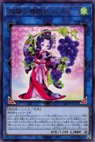 セリオンズ“キング”レギュラス【遊戯王トレカお買得価格通販：CBトレコロ】