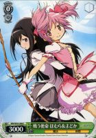 円環に導かれた者 なぎさ【ヴァイスシュヴァルツトレカ高価買取価格