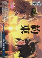 ジンクスに挑むお嬢様 サトノダイヤモンド【ヴァイスシュヴァルツ