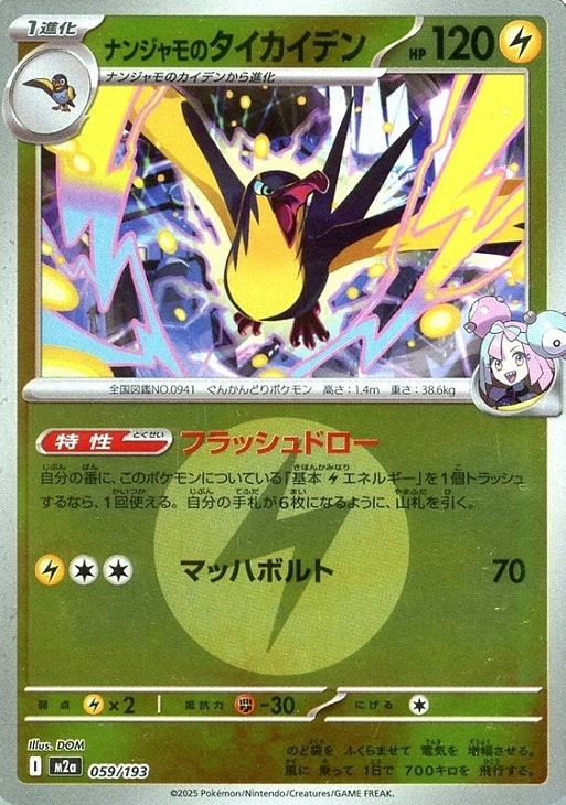 ナンジャモのタイカイデン[ミラー仕様][エネルギーマーク柄]【ポケモン