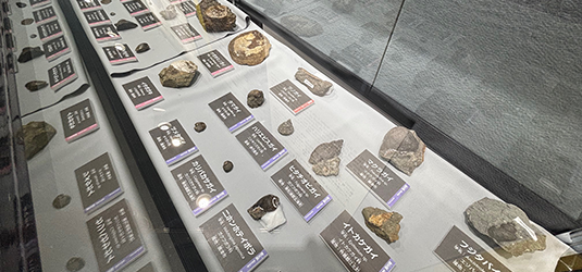 佐賀県立宇宙科学館 新種の二枚貝化石レプリカを初公開 | イベント