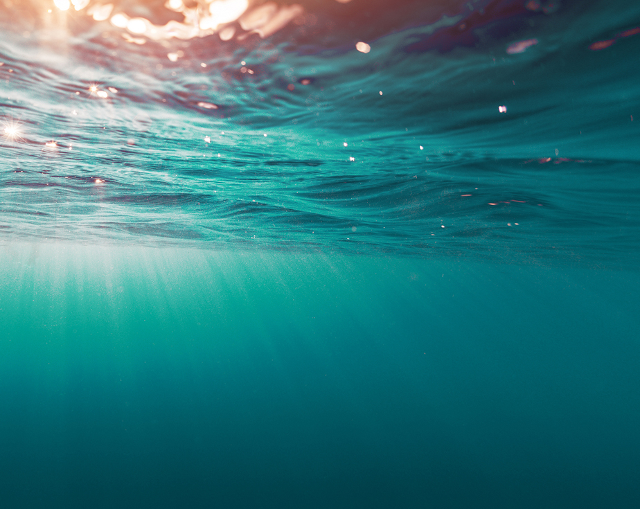 THALGO-タルゴ｜タラソテラピーのプロフェッショナル化粧品