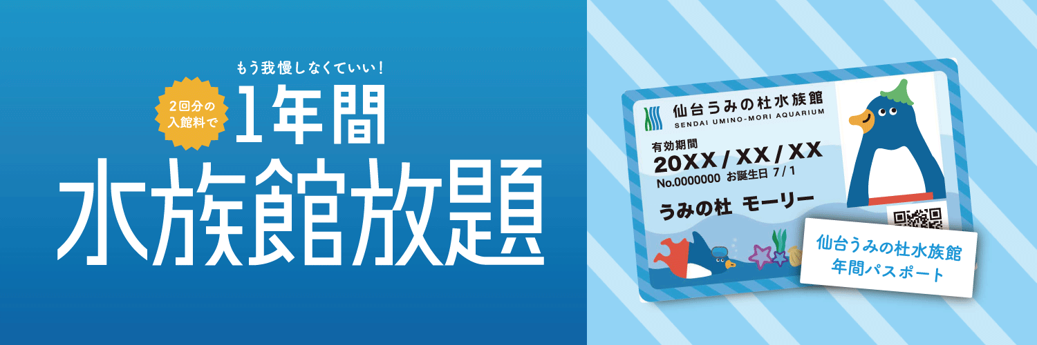 年間パスポートのご案内｜仙台うみの杜水族館