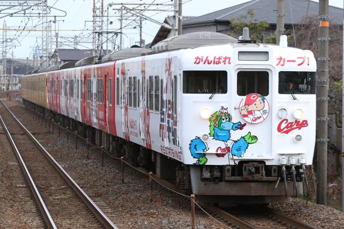 115系広島カープ応援ラッピング列車（2015年ver.）運転開始